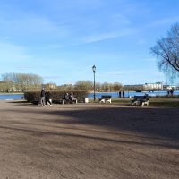 У реки в апрельский день... :: Мария Васильева