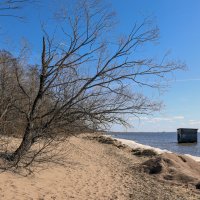 Западный Котлин :: skijumper Иванов