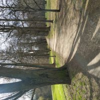 Апрель как он есть :: Андрей Лукьянов Апрель как он есть :: Андрей Лукьянов