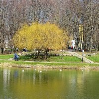 Весенний город :: Милешкин Владимир Алексеевич 