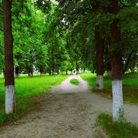 Чебоксары. Небольшой сквер на пересечении улиц Калинина и Текстильщиков. :: Пётр Чернега Чебоксары. Небольшой сквер на пересечении улиц Калинина и Текстильщиков. :: Пётр Чернега