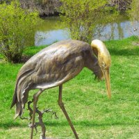 Золотой аист :: Сеня Белгородский Золотой аист :: Сеня Белгородский