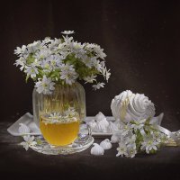 Весеннее настроение :: Svetlana Galvez