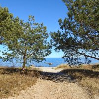 весна :: ИННА ПОРОХОВА