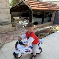 Подарок на день рождения :: Светлана Хращевская