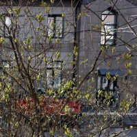 *** :: Валентина Береснева *** :: Валентина Береснева