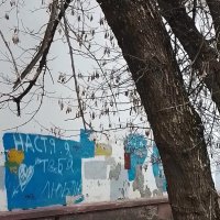 *** :: Валентина Береснева