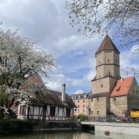 Якобетор Aугсбург... :: Галина 