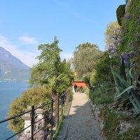 Варенна :: Светлана Баталий