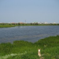 Лето :: Anna Ivanova Лето :: Anna Ivanova