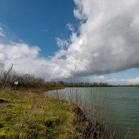 На старом песчаном карьере... :: Николай Гирш