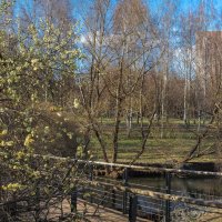 ***** :: юрий поляков