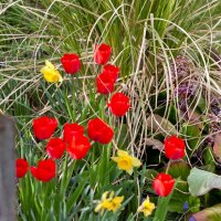 .- :: vladimir .- :: vladimir