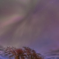 Весенней ночью :: Владимир Колесников