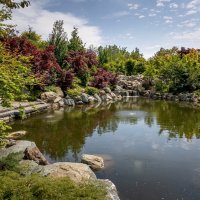 Парк Галицкого. Краснодар :: Андрей Lyz