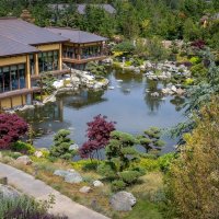 Парк Галицкого. Краснодар :: Андрей Lyz