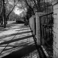 Тени на улице :: Александр Синдерёв