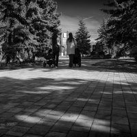 Девушки с колясками :: Александр Синдерёв