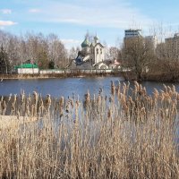 Пулковский парк :: Наталья Герасимова