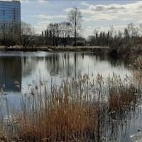 Пулковский парк. Апрель :: Наталья Герасимова Пулковский парк. Апрель :: Наталья Герасимова