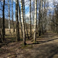 Мои апрельские тезисы :: Андрей Лукьянов Мои апрельские тезисы :: Андрей Лукьянов