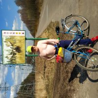 Лось и кентавр Лосиного острова :: Андрей Лукьянов Лось и кентавр Лосиного острова :: Андрей Лукьянов