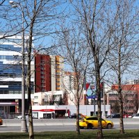 Разноцветный город. :: Василий Палий