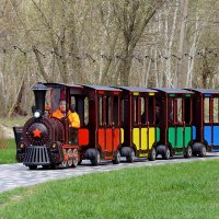 По сказочному лесу :: Сеня Белгородский По сказочному лесу :: Сеня Белгородский