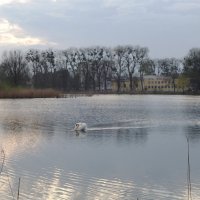 Вечером в городском парке :: Рита Симонова Вечером в городском парке :: Рита Симонова