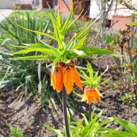 ... :: Сергей Тимоновский