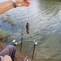 Поймал рыбку. :: Светлана Хращевская