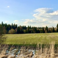 Из окна авто) :: Альбина 