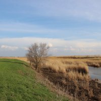 **** :: Виктор 