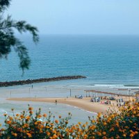 Пляж. :: Argaman Табашник