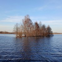 Озеро Разлив. :: Лия ☼