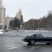 Авто эстетика  :: Анна Камс