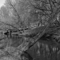 ***** :: юрий поляков