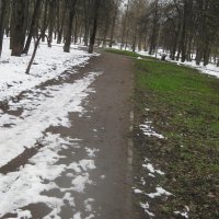 Апрельские дорожки :: Дмитрий Никитин Апрельские дорожки :: Дмитрий Никитин