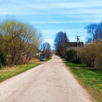 Весна в деревне (репортаж из поездок по области) :: Милешкин Владимир Алексеевич 