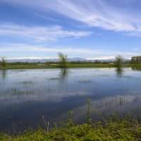 по Грузии :: Осень 