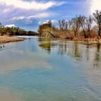 Апрель на Хопре. :: Восковых Анна Васильевна Апрель на Хопре. :: Восковых Анна Васильевна
