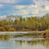 Природа моего любимого Хопра. :: Восковых Анна Васильевна 