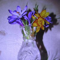 Нежный букетик :: Людмила Смородинская