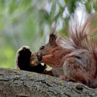 За обе щёки ... :: Alexandеr P