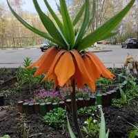 ,,, :: Сергей Тимоновский