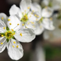 ,,, :: Сергей Тимоновский