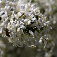 Пошла работа.... :: Aleksandr Gal