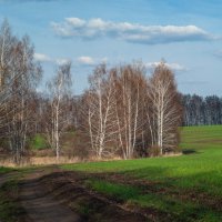 Ранняя весна :: Дмитрий Ряховский