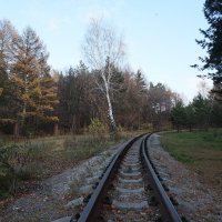 Рельсы, рельсы... :: Дмитрий Петров