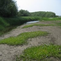 Лето :: Anna Ivanova Лето :: Anna Ivanova